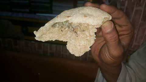 البرص داخل رغيف الخبز