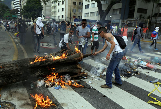 المتظاهرون يشعلون النيران فى شجرة