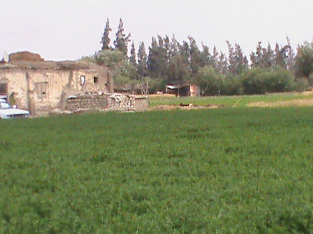 جانب من قرية القصاصين القديمة