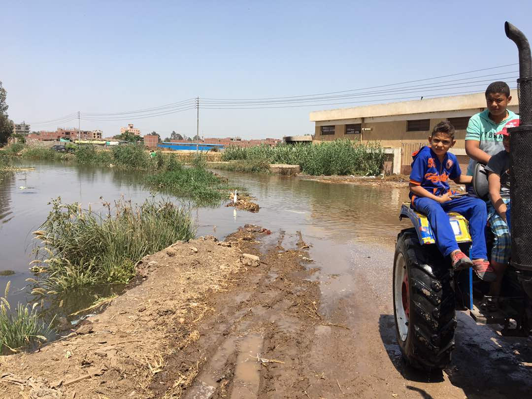 طفح مياه المصرف بشوارع سنباط