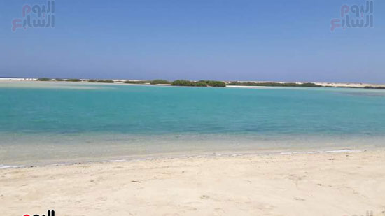 شاطئ-شرم-اللولى-بمرسى-علم-17