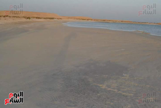 شاطئ-شرم-اللولى-بمرسى-علم-16