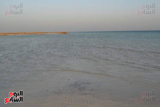 شاطئ-شرم-اللولى-بمرسى-علم-13
