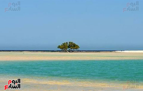 شاطئ-شرم-اللولى-بمرسى-علم-9