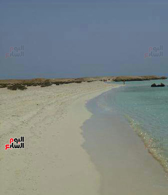 شاطئ-شرم-اللولى-بمرسى-علم-4