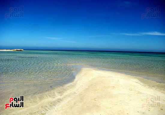 شاطئ-شرم-اللولى-بمرسى-علم-5
