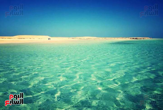 شاطئ-شرم-اللولى-بمرسى-علم-7
