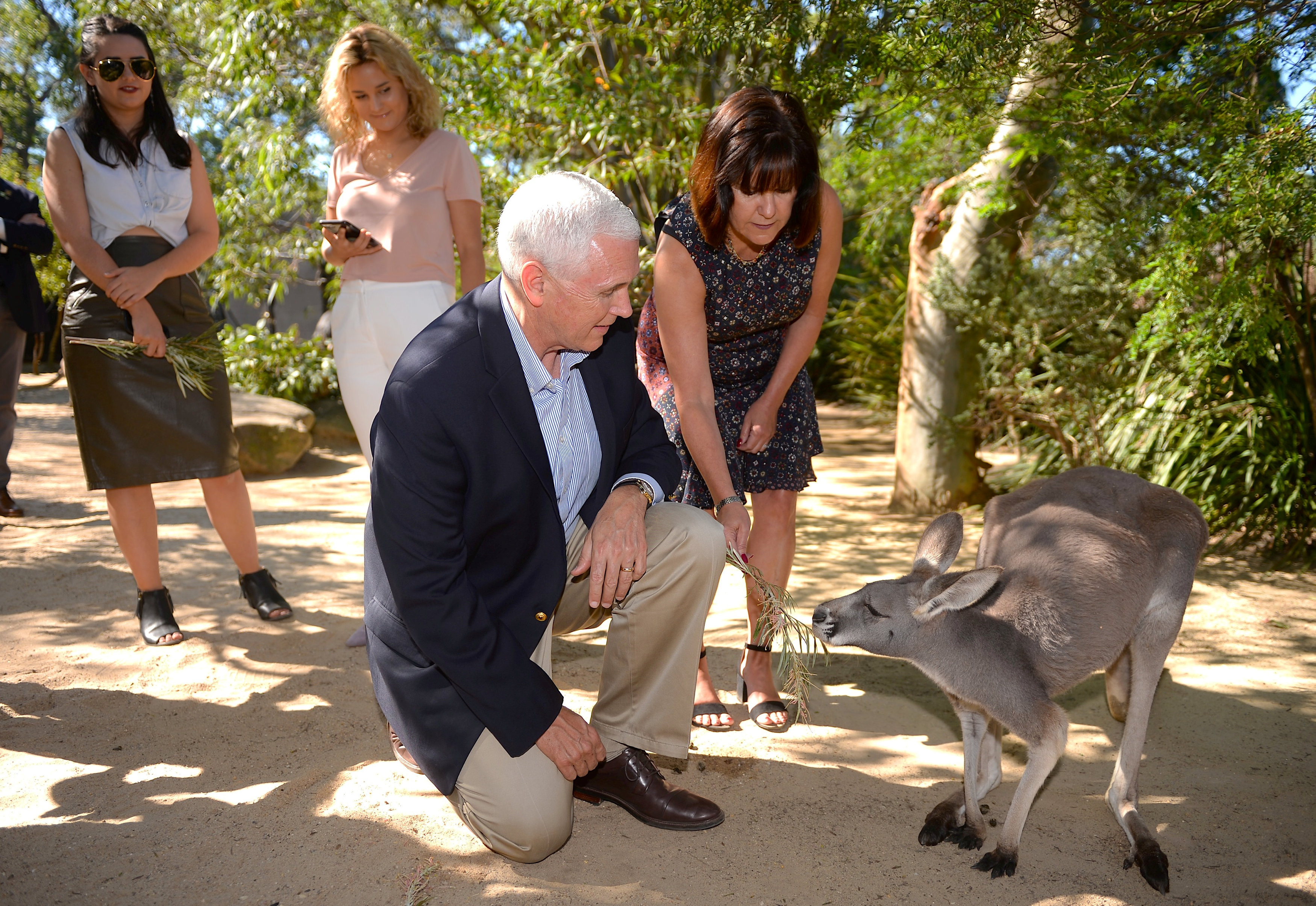 مايك بنس يداعب كونغر فى حديقة حيوان استرالية