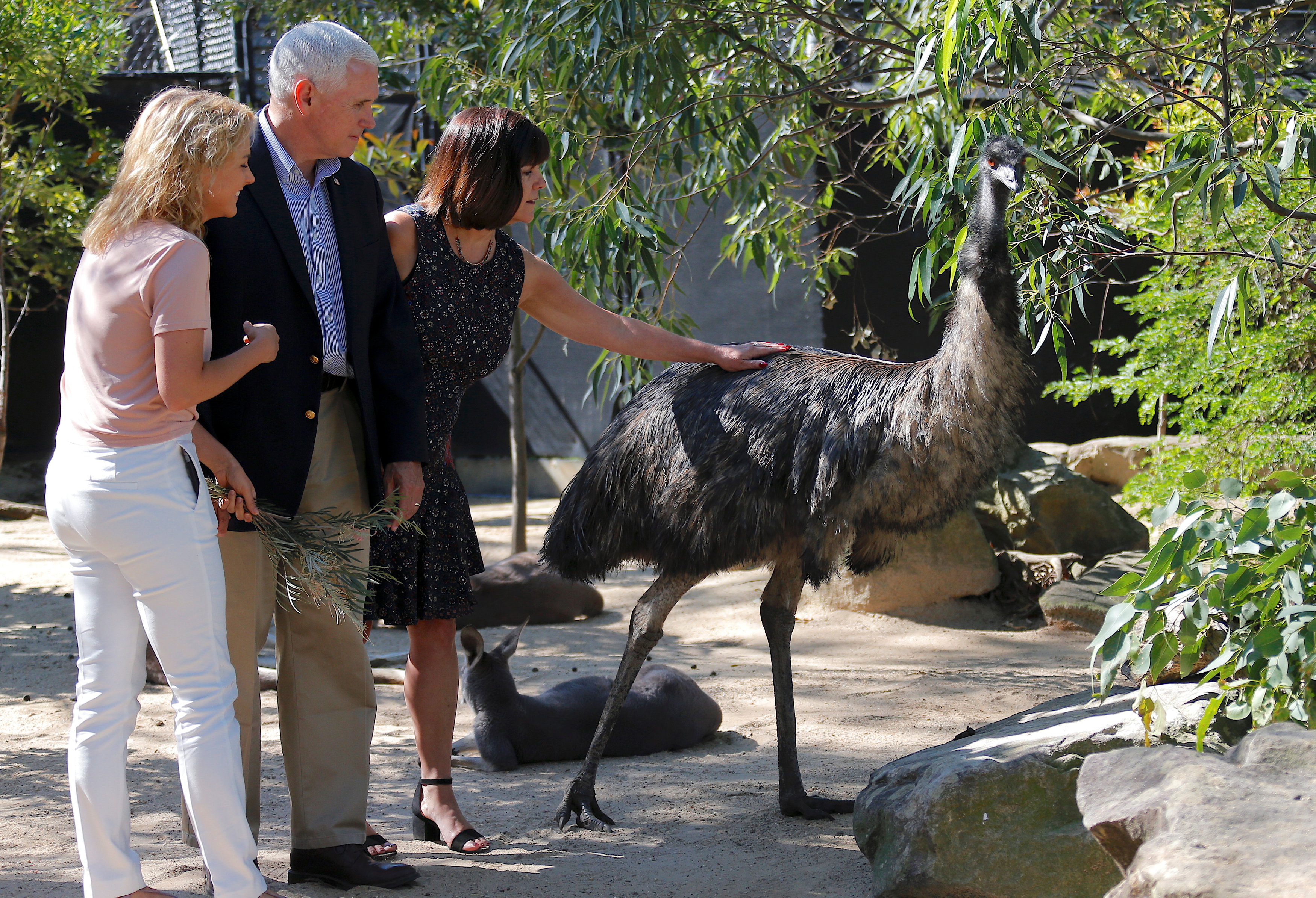 زوجة مايك بنس تداعب الحيوانات فى استراليا