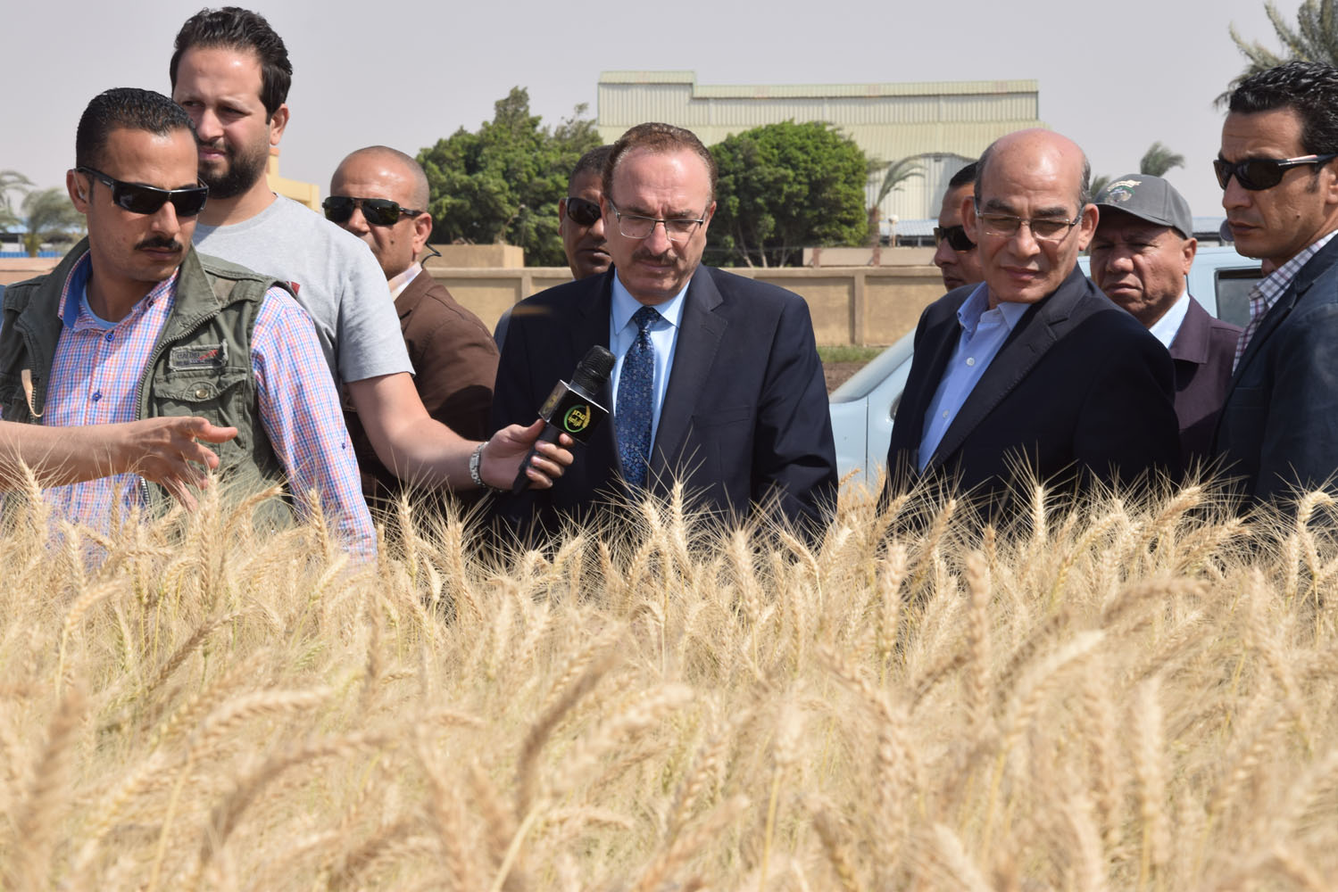 محافظ بني سويف ووزيرا التموين والزراعة يتفقدون صوامع القمح (1)