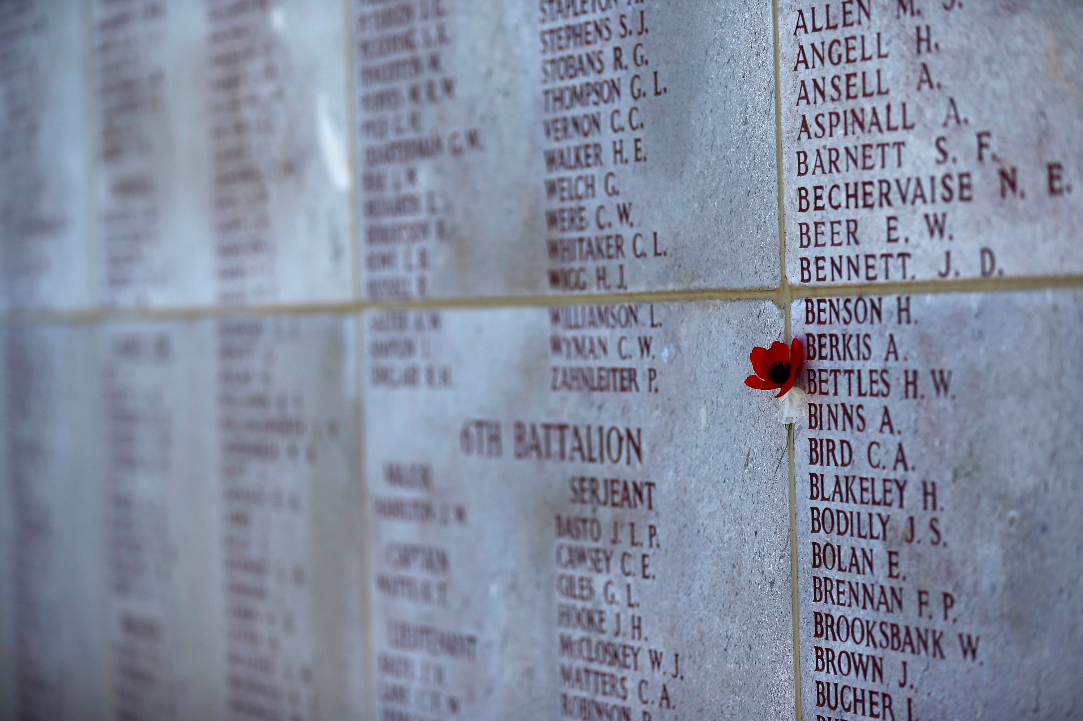 وردة على النصب التذكارى لضحايا معركة أنزاك