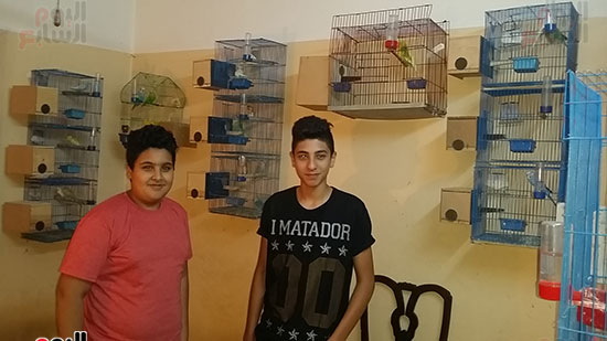        أحمد ومحمد عاشقا الطيور والحيوانات خلفهما انواع عديدة من العصافير بمنزلهما