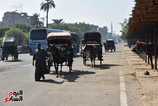 موقف عربات الحنطور بكورنيش النيل بالأقصر