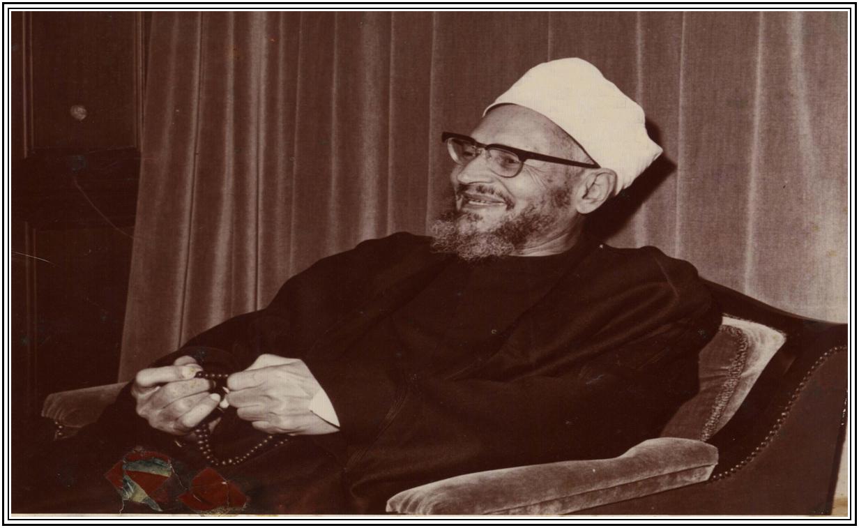 Abdel Halim Mahmoud 1