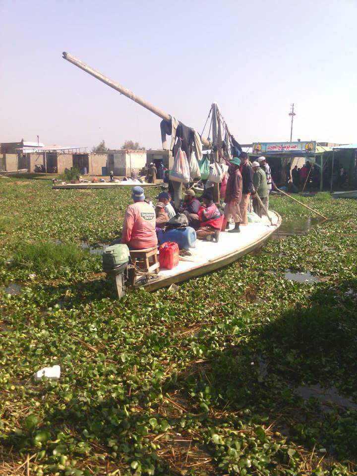 ورد النيل مشكلة تواجه المزارعين والصيادين  (2)