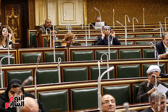الجلسة العامة مجلس النواب (1)