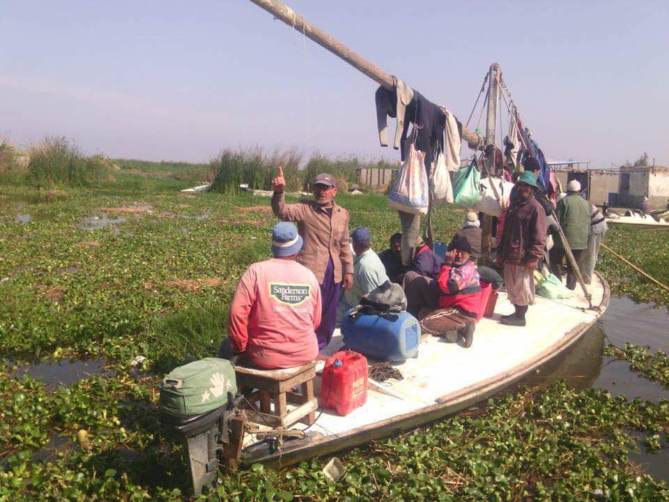 ورد النيل مشكلة تواجه المزارعين والصيادين  (1)