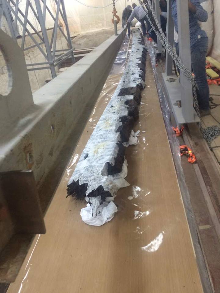استخراج قطعة خشبية طولها 15 متر من مركب خوفو الثانية (4)