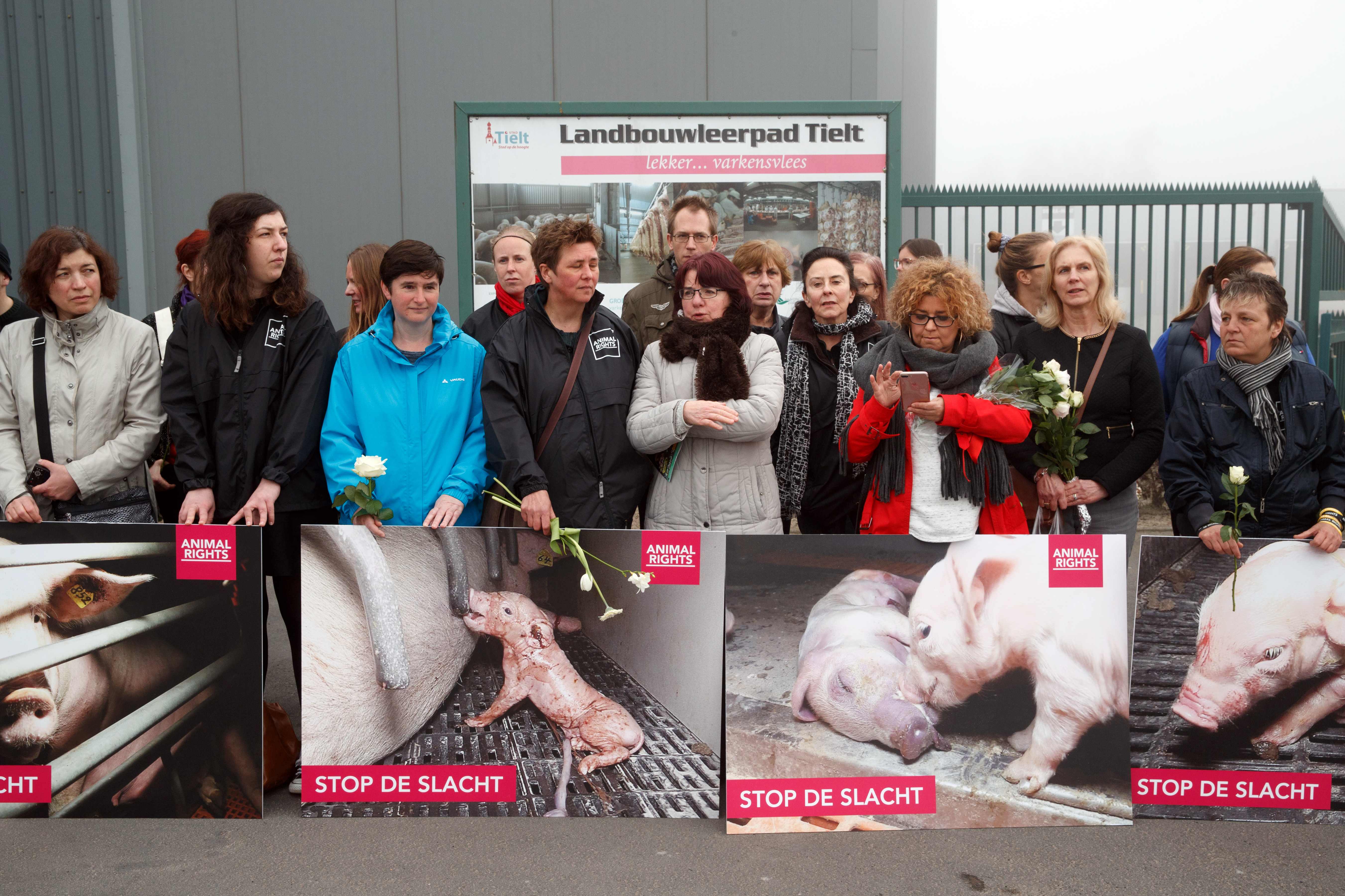 متظاهرون يحتجون على سوء معاملة الحيوانات فى بلجيكا