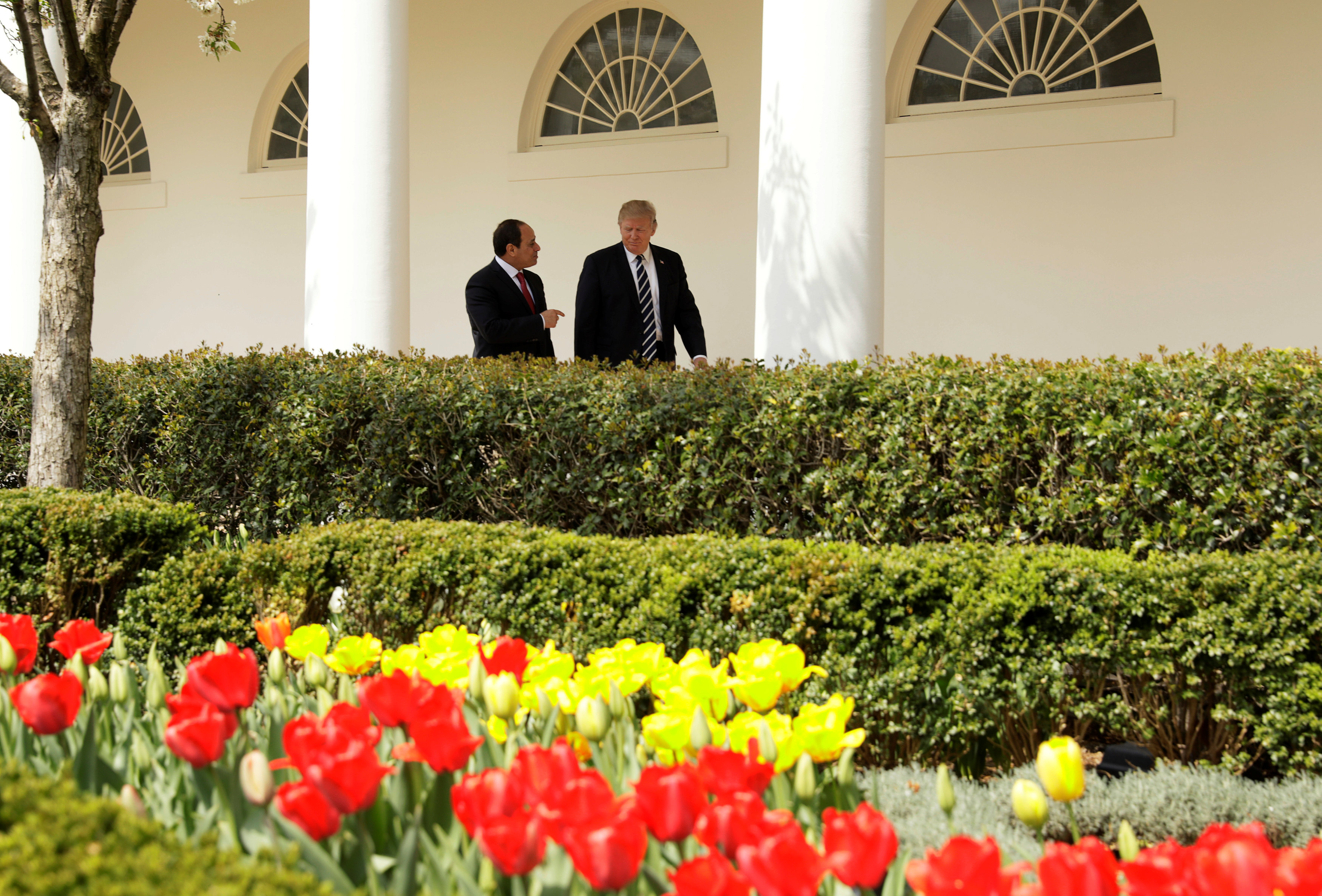 ترامب والسيسي في حديقة البيت الأبيض