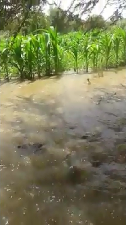  غرق مزرعة بالمياه