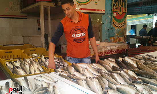 جانب من حالة الركود بأسواق السمك فى بورسعيد