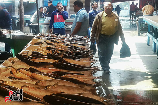 حركة طفيفة بالبيع والشراء داخل أسواق السمك ببورسعيد