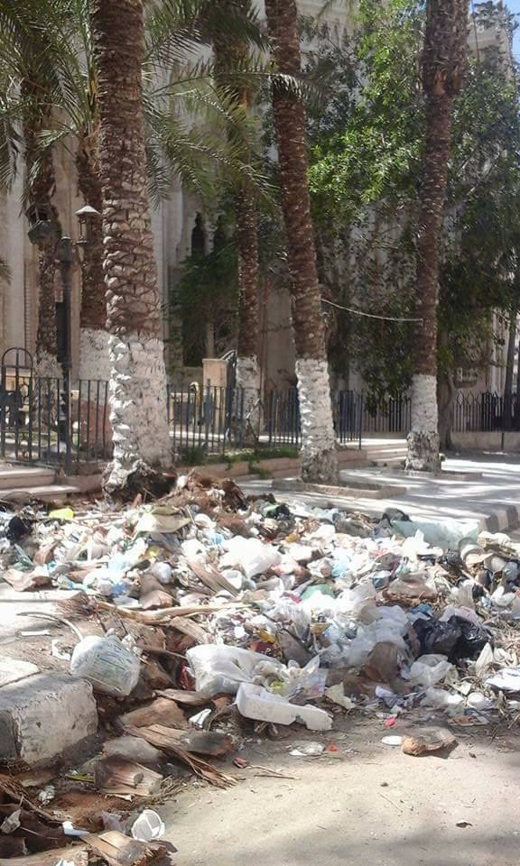 انتشار القمامة بجوار مسجد ابو العباس (2)