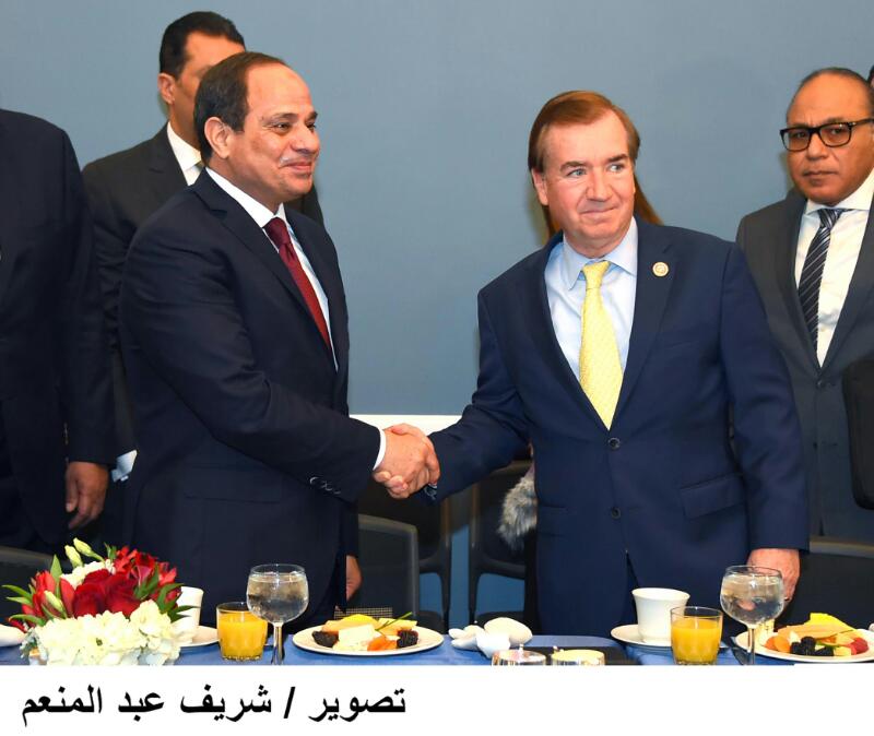  الرئيس السيسى يلتقى رئيس لجنة الشئون الخارجية بمجلس النواب