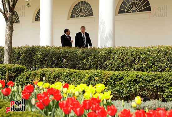 5--لقاء-السيد-الرئيس-مع-الرئيس-ترامب-في-البيت-الأبيض-(7)