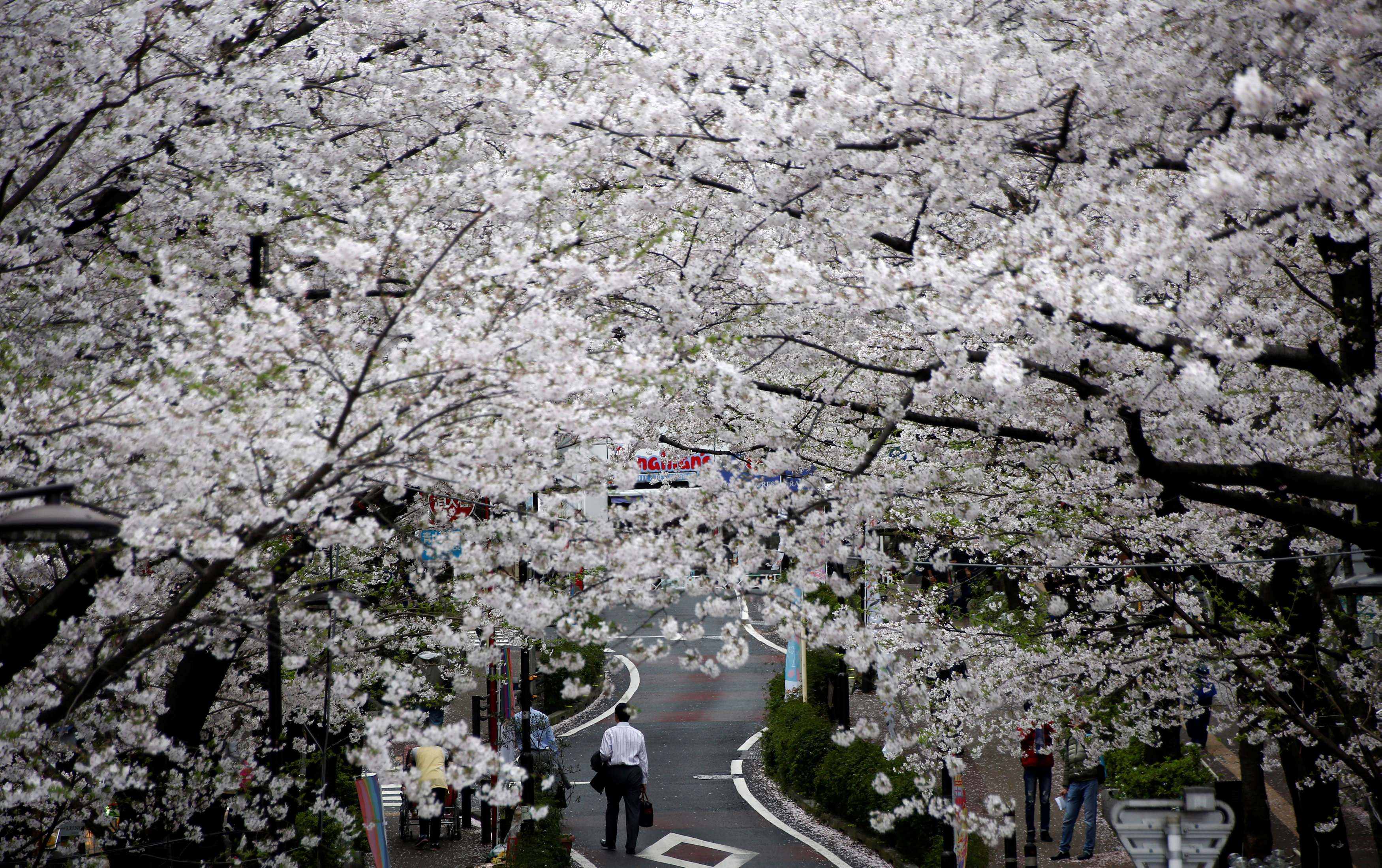 سير الرجال على الأقدام وسط احتفالات عيد الربيع في اليابان