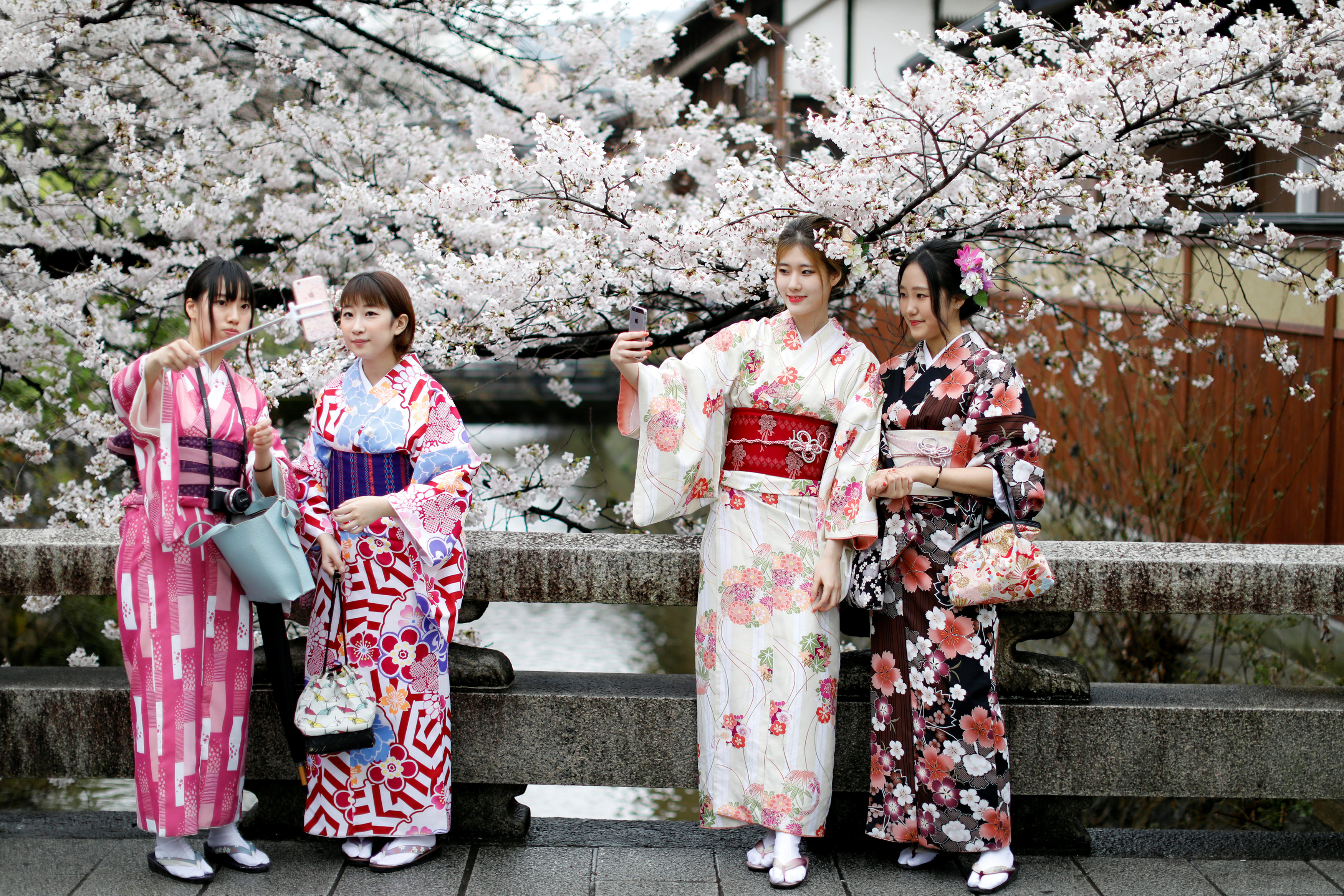 جانب من احتفالات اليابانيون بعيد الربيع