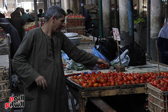  البائعين قللوا المعروض من الطماطم بسبب سعرها الذى وصل 10 جنيهات
