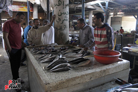 داخل سوق الأسماك بحى عرايشية مصر 