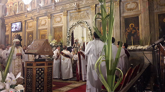  البابا يصلى فى القداس