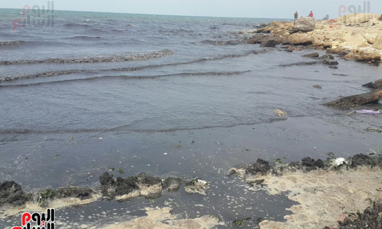 مياه شاطئ بورسعيد الملوثة ببقعة المواد البترولية