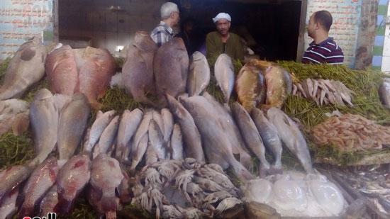 	اسماك سوق السمك فى المنيب