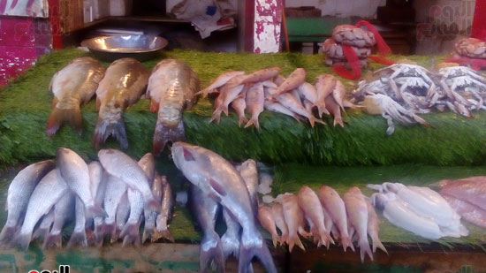  سوق السمك بالمنيب