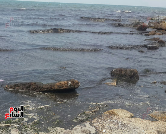 بعض الحجارة المصحوبة بالمياه الملوثة على الشاطئ
