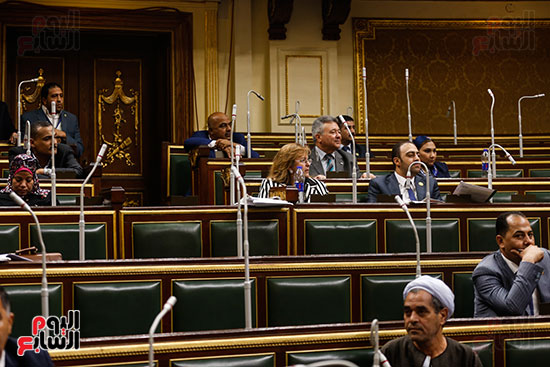 الجلسة العامة - مجلس النواب (15)