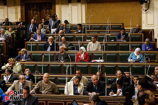 الجلسة العامة - مجلس النواب (6)