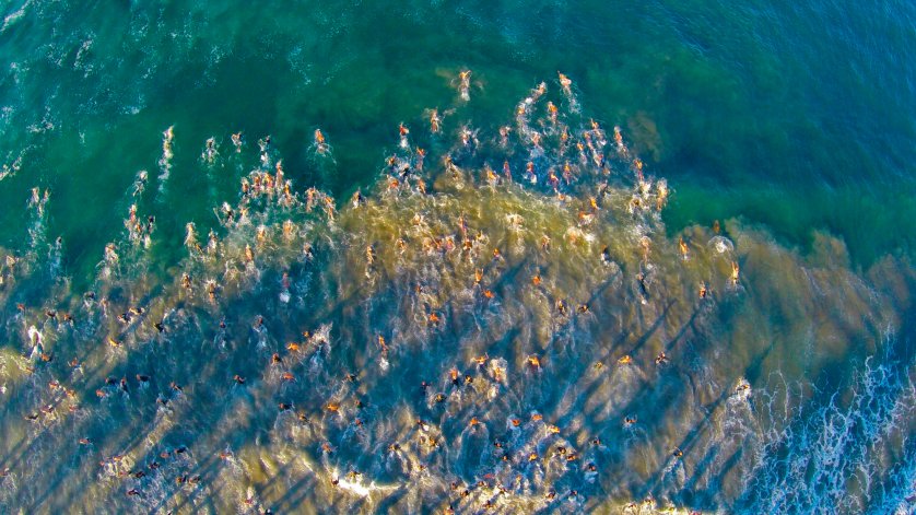 مجموعة من الاشخاص يسبحون فى المحيط بنيويورك. من ارتفاع 157 قدم