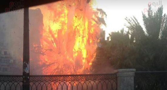حريقا بأشجار على كورنيش النيل (1)