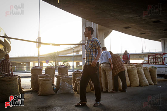 بلح رمضان (19)
