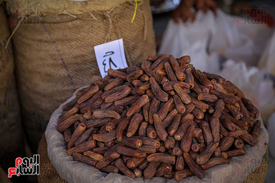 بلح رمضان (18)
