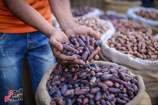 بلح رمضان (1)