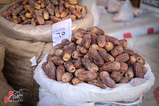 بلح رمضان (16)