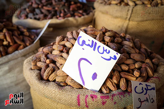 بلح رمضان (11)