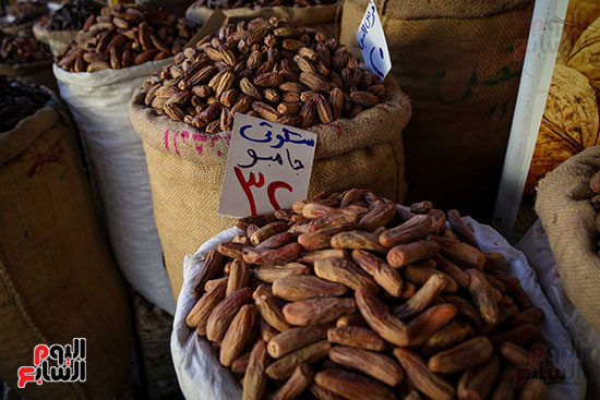 بلح رمضان (10)