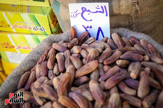 بلح رمضان (14)